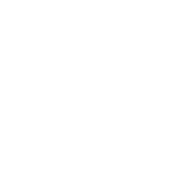 Virtual Summit