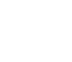 Virtual Conference