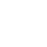 Virtual International Business Networking Event